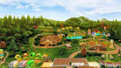 Kocaeli Ormanya Doğal Yaşam Parkı