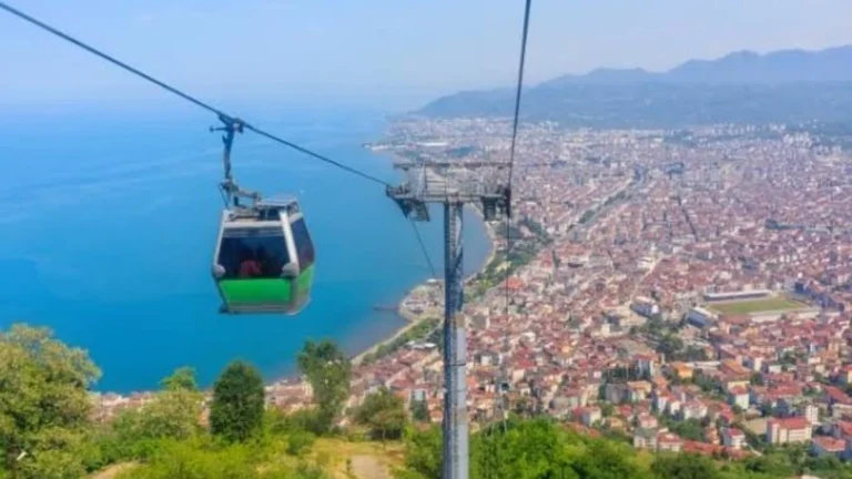 ordu